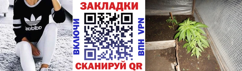 Виды наркотиков купить Кыштым Бошки Шишки  Кодеин  ГАШИШ  Меф  АМФ 