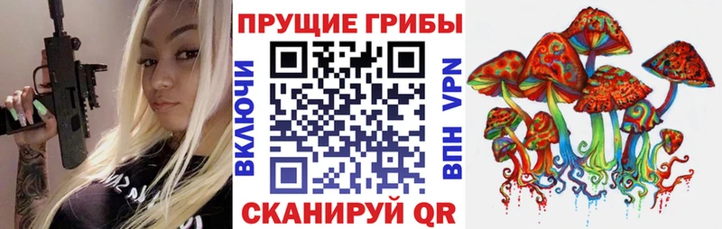 Галлюциногенные грибы Psilocybine cubensis  kraken ССЫЛКА  Кыштым 